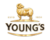 Youngs Colour